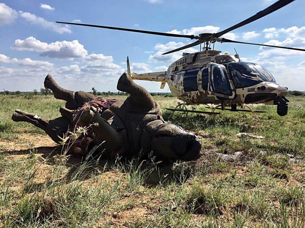 The effects of poaching are often gruesome and sometimes fatal. Rhino 911 Photo