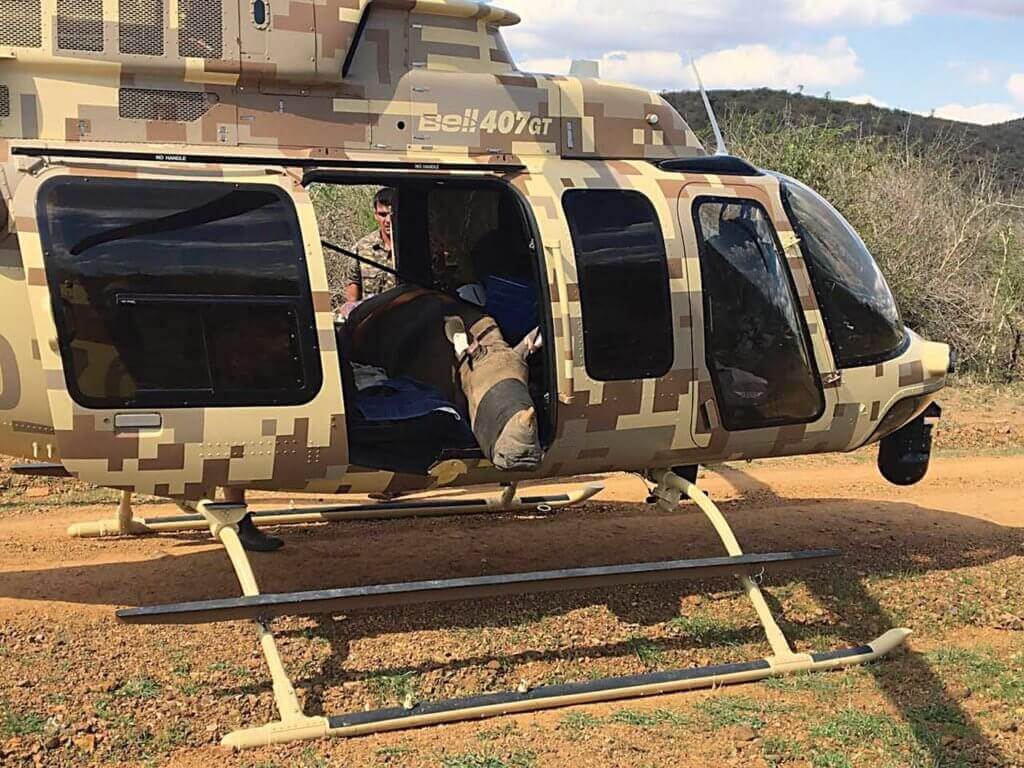 Despite the brutality they face, helicopter operators win many battles. Here, a wounded animal is carried to safety in a Rhino 911 Bell 407GT. Rhino 911 Photo