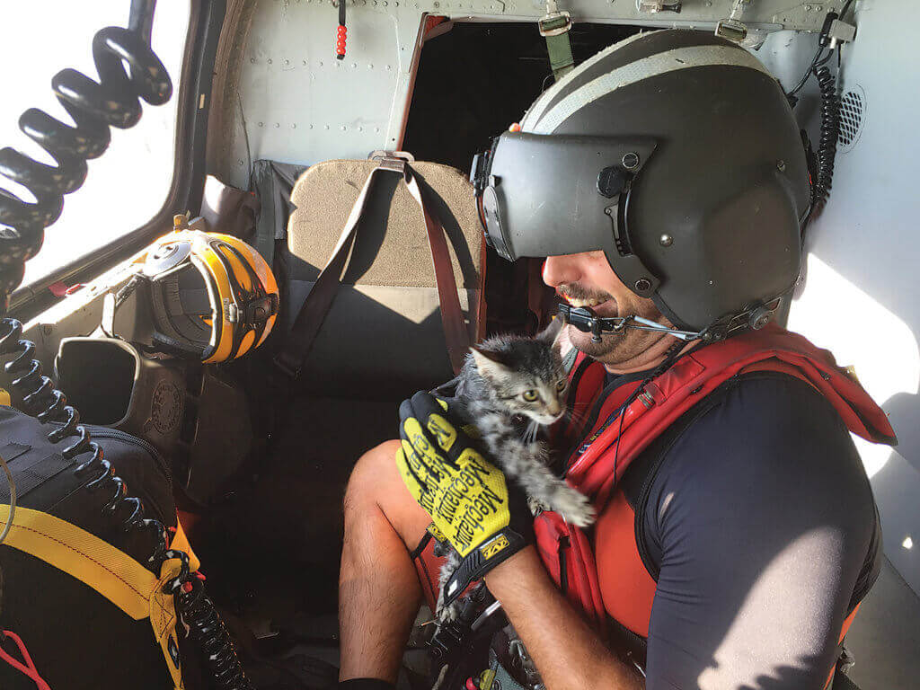 A U.S. Coast Guard Air Station San Francisco pilot was teamed with a USCG Aviation Training Center Mobile co-pilot, USCG Air Station Miami flight mechanic, and USCG Air Station Clearwater rescue swimmer to execute continued urban search-and-rescue missions in an Air Station Miami MH-65D helicopter. Among those saved was a cat rescued from a balcony. USCG Photo