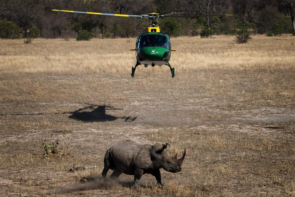 A SANParks helicopter with rhino